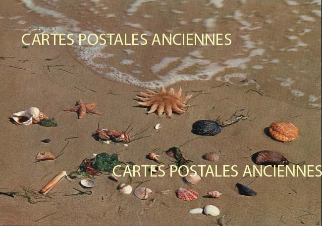 Cartes postales anciennes > CARTES POSTALES > carte postale ancienne > cartes-postales-ancienne.com Union europeenne