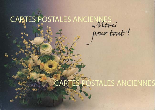 Cartes postales anciennes > CARTES POSTALES > carte postale ancienne > cartes-postales-ancienne.com Union europeenne