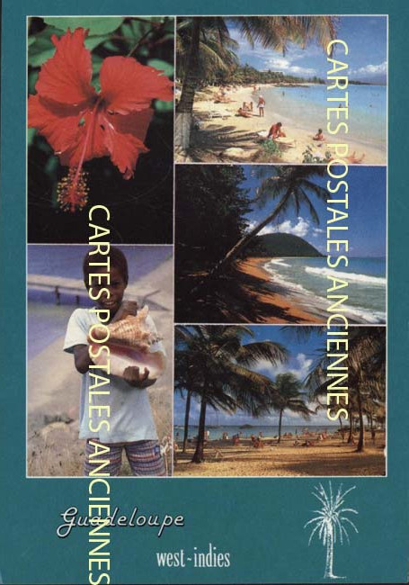 Cartes postales anciennes > CARTES POSTALES > carte postale ancienne > cartes-postales-ancienne.com Antilles francaises