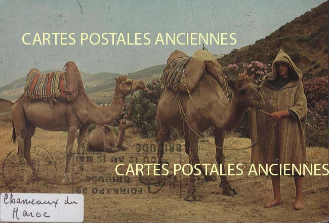 Cartes postales anciennes > CARTES POSTALES > carte postale ancienne > cartes-postales-ancienne.com Maroc