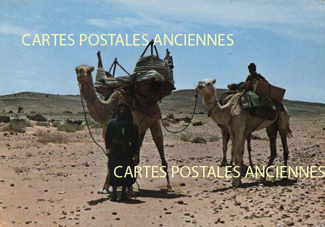 Cartes postales anciennes > CARTES POSTALES > carte postale ancienne > cartes-postales-ancienne.com Maroc