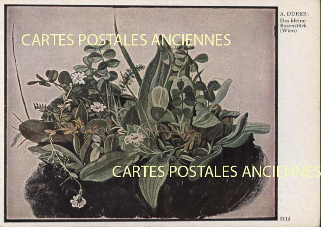 Cartes postales anciennes > CARTES POSTALES > carte postale ancienne > cartes-postales-ancienne.com Fleurs