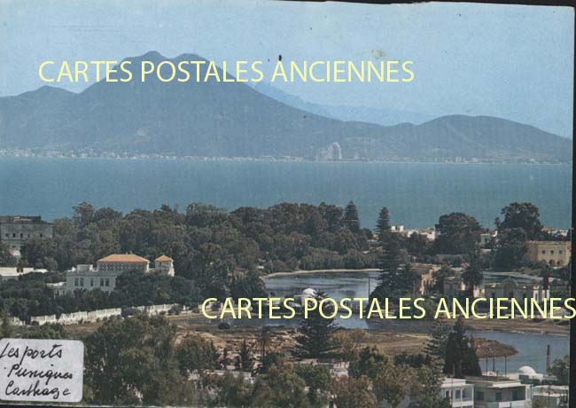 Cartes postales anciennes > CARTES POSTALES > carte postale ancienne > cartes-postales-ancienne.com Tunisie Carthage