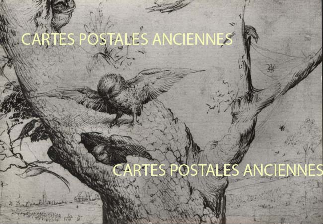 Cartes postales anciennes > CARTES POSTALES > carte postale ancienne > cartes-postales-ancienne.com Union europeenne