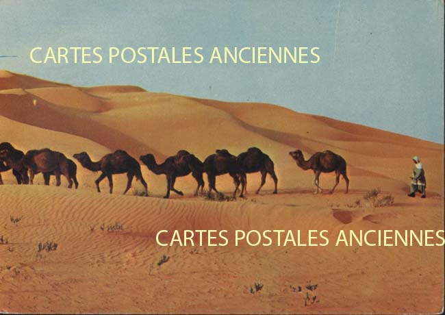 Cartes postales anciennes > CARTES POSTALES > carte postale ancienne > cartes-postales-ancienne.com