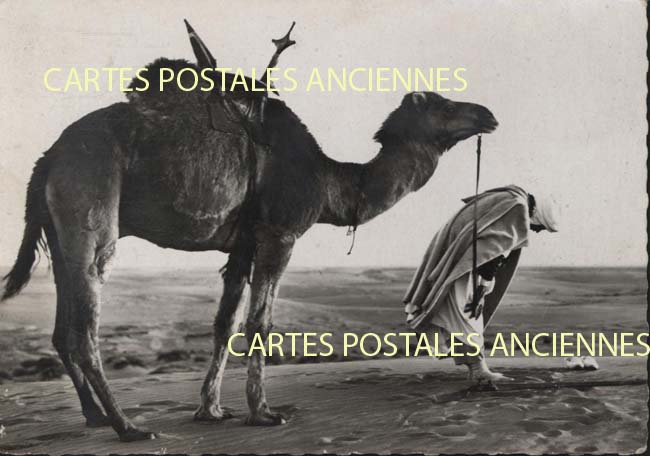 Cartes postales anciennes > CARTES POSTALES > carte postale ancienne > cartes-postales-ancienne.com