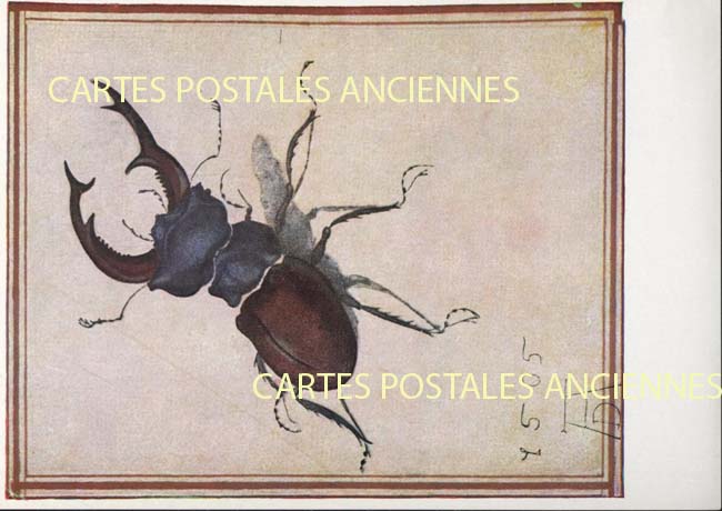 Cartes postales anciennes > CARTES POSTALES > carte postale ancienne > cartes-postales-ancienne.com Union europeenne