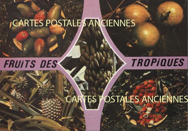 Cartes postales anciennes > CARTES POSTALES > carte postale ancienne > cartes-postales-ancienne.com Cuisine