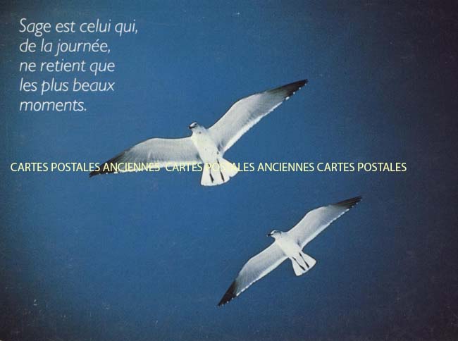 Cartes postales anciennes > CARTES POSTALES > carte postale ancienne > cartes-postales-ancienne.com Animaux