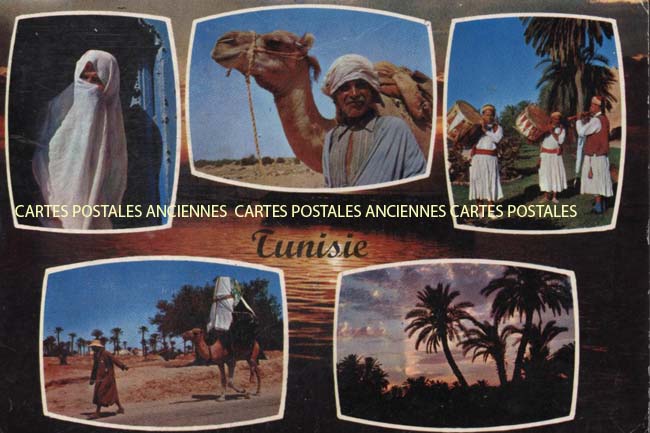 Cartes postales anciennes > CARTES POSTALES > carte postale ancienne > cartes-postales-ancienne.com Tunisie