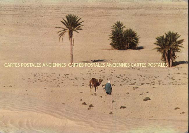 Cartes postales anciennes > CARTES POSTALES > carte postale ancienne > cartes-postales-ancienne.com Tunisie