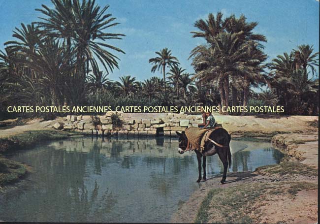 Cartes postales anciennes > CARTES POSTALES > carte postale ancienne > cartes-postales-ancienne.com Tunisie