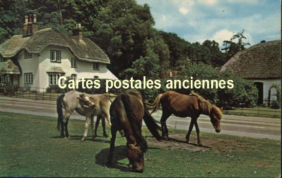 Cartes postales anciennes > CARTES POSTALES > carte postale ancienne > cartes-postales-ancienne.com Angleterre