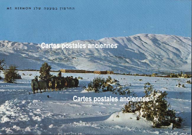 Cartes postales anciennes > CARTES POSTALES > carte postale ancienne > cartes-postales-ancienne.com Paysage neige