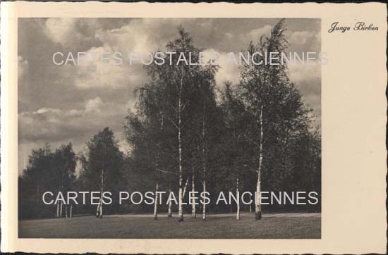 Cartes postales anciennes > CARTES POSTALES > carte postale ancienne > cartes-postales-ancienne.com