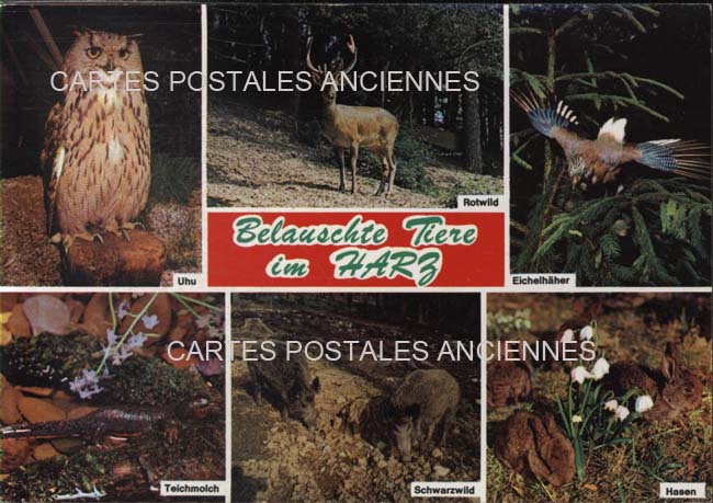 Cartes postales anciennes > CARTES POSTALES > carte postale ancienne > cartes-postales-ancienne.com Union europeenne