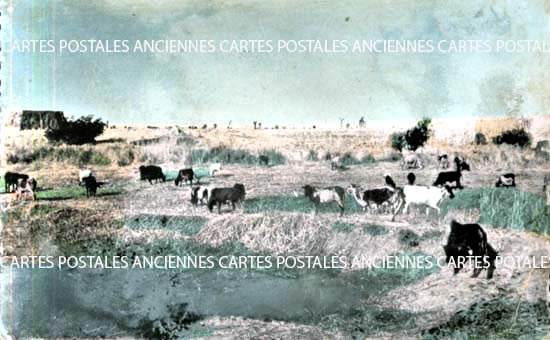 Cartes postales anciennes > CARTES POSTALES > carte postale ancienne > cartes-postales-ancienne.com Outremer