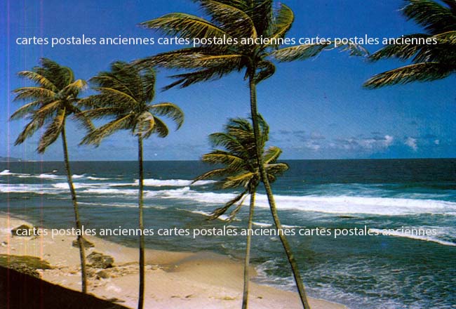 Cartes postales anciennes > CARTES POSTALES > carte postale ancienne > cartes-postales-ancienne.com Outremer