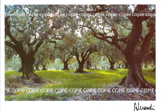 Cartes postales anciennes > CARTES POSTALES > carte postale ancienne > cartes-postales-ancienne.com Paysage