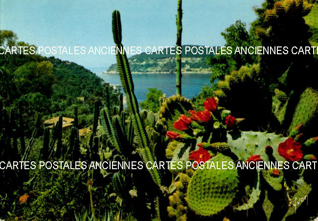 Cartes postales anciennes > CARTES POSTALES > carte postale ancienne > cartes-postales-ancienne.com