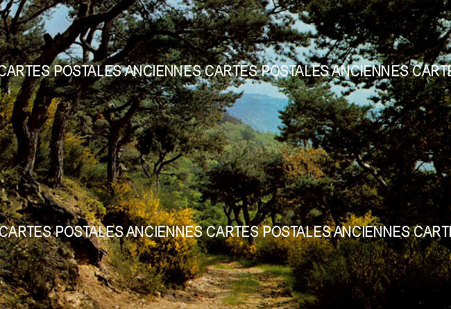 Cartes postales anciennes > CARTES POSTALES > carte postale ancienne > cartes-postales-ancienne.com