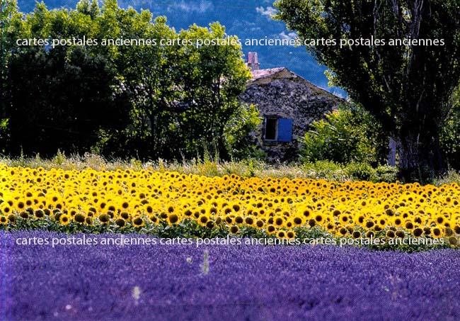 Cartes postales anciennes > CARTES POSTALES > carte postale ancienne > cartes-postales-ancienne.com