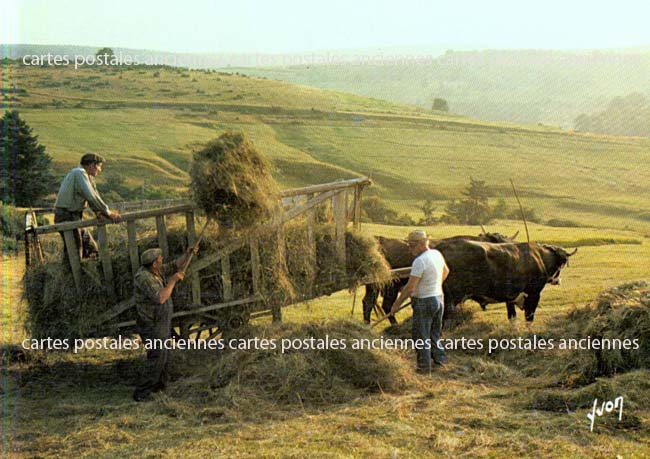 Cartes postales anciennes > CARTES POSTALES > carte postale ancienne > cartes-postales-ancienne.com