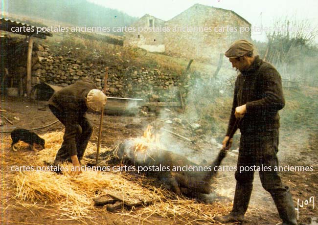 Cartes postales anciennes > CARTES POSTALES > carte postale ancienne > cartes-postales-ancienne.com