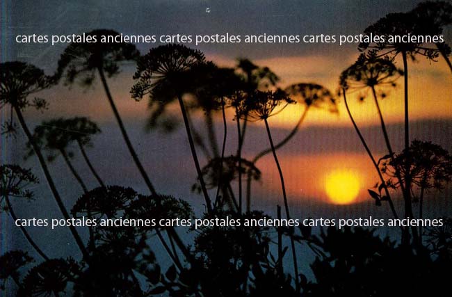 Cartes postales anciennes > CARTES POSTALES > carte postale ancienne > cartes-postales-ancienne.com