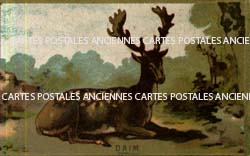 Cartes postales anciennes > CARTES POSTALES > carte postale ancienne > cartes-postales-ancienne.com Cartes postales anciennes publicitaire Pup reproduction