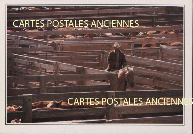 Cartes postales anciennes > CARTES POSTALES > carte postale ancienne > cartes-postales-ancienne.com