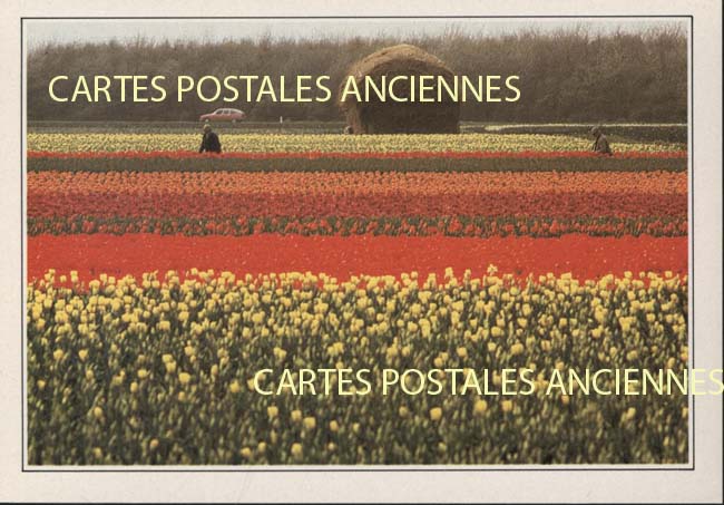 Cartes postales anciennes > CARTES POSTALES > carte postale ancienne > cartes-postales-ancienne.com