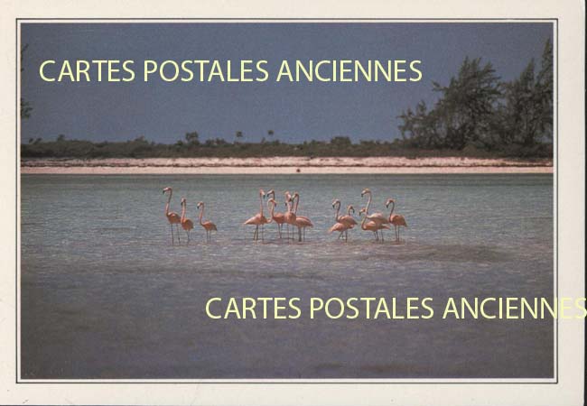 Cartes postales anciennes > CARTES POSTALES > carte postale ancienne > cartes-postales-ancienne.com